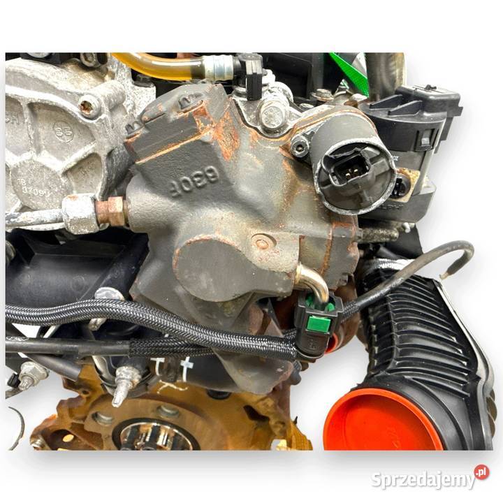 SILNIK G6DG Ford Kuga 20 TDCI 136 diesel osobowe Chełm