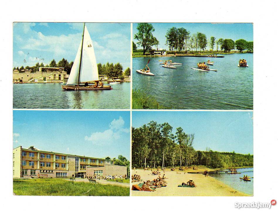 POZNAŃ WOJEWÓDZTWO POZNAŃSKIE POCZTÓWKA Krynki sprzedam