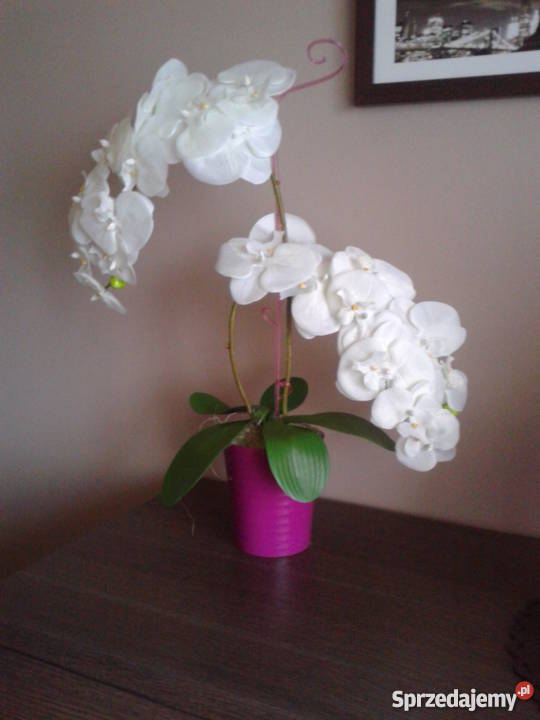 Sztuczny storczyk żywy NOWY 60 sztuczne kwiaty