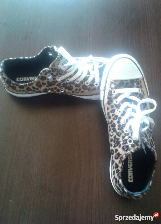 CONVERSE panterka