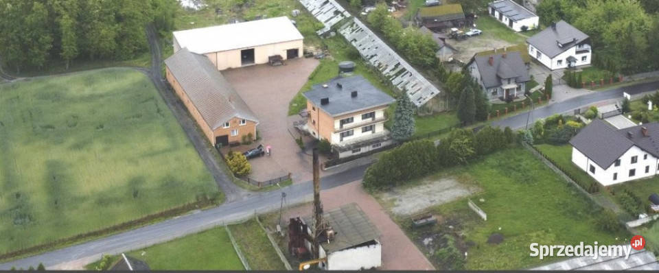 Sprzedam dom i szklarnie Godziesze Małe