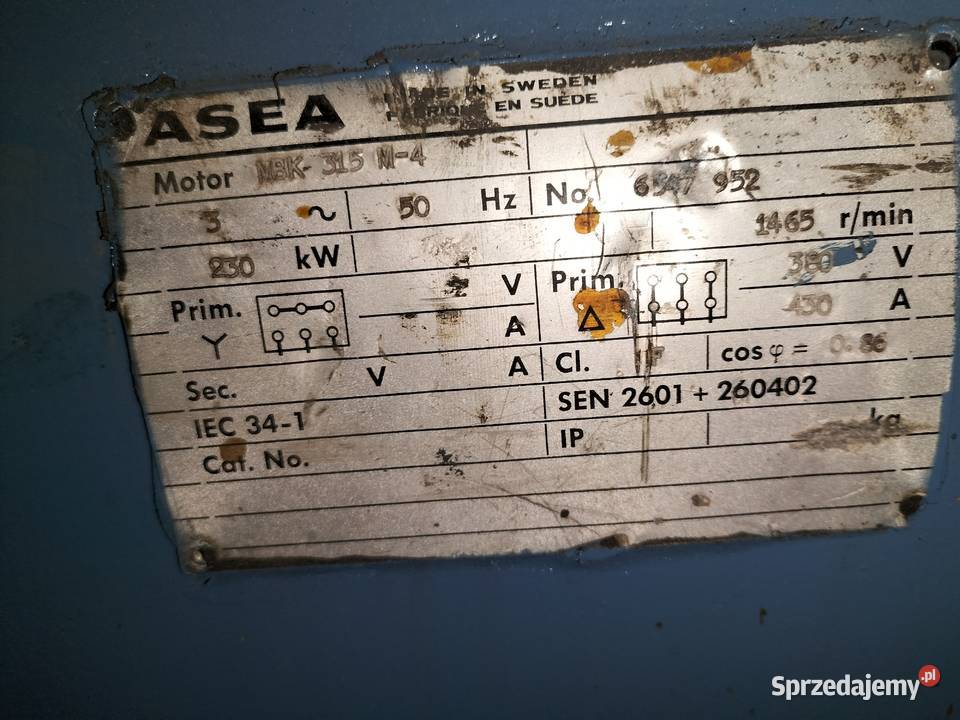 Silnik elektryczny 250kw