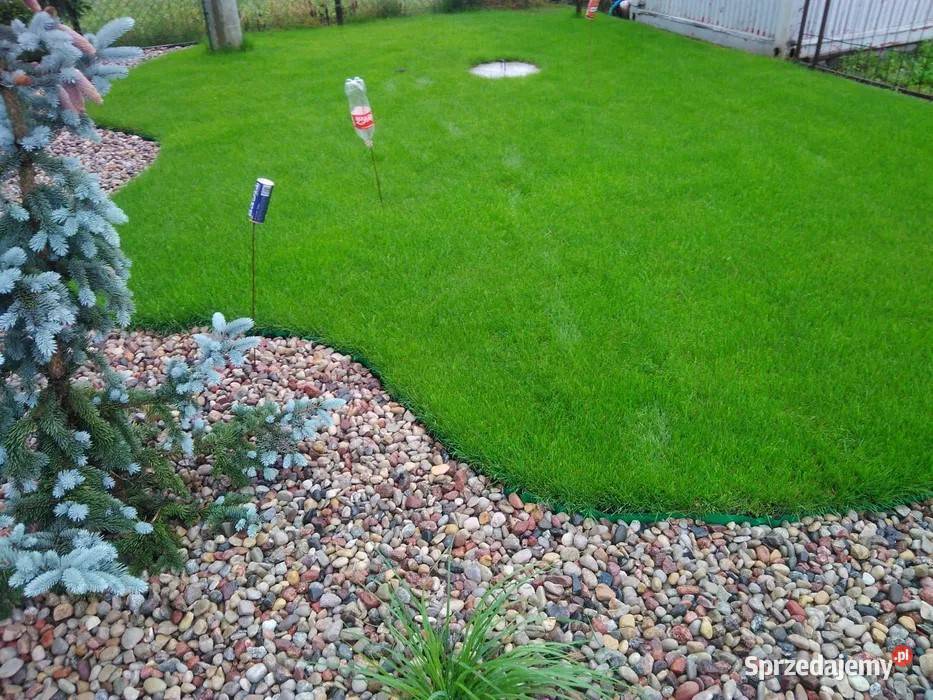 Ziemia ogrodowa torfowa czarnoziem piach wiślany Ziemia Celestynów