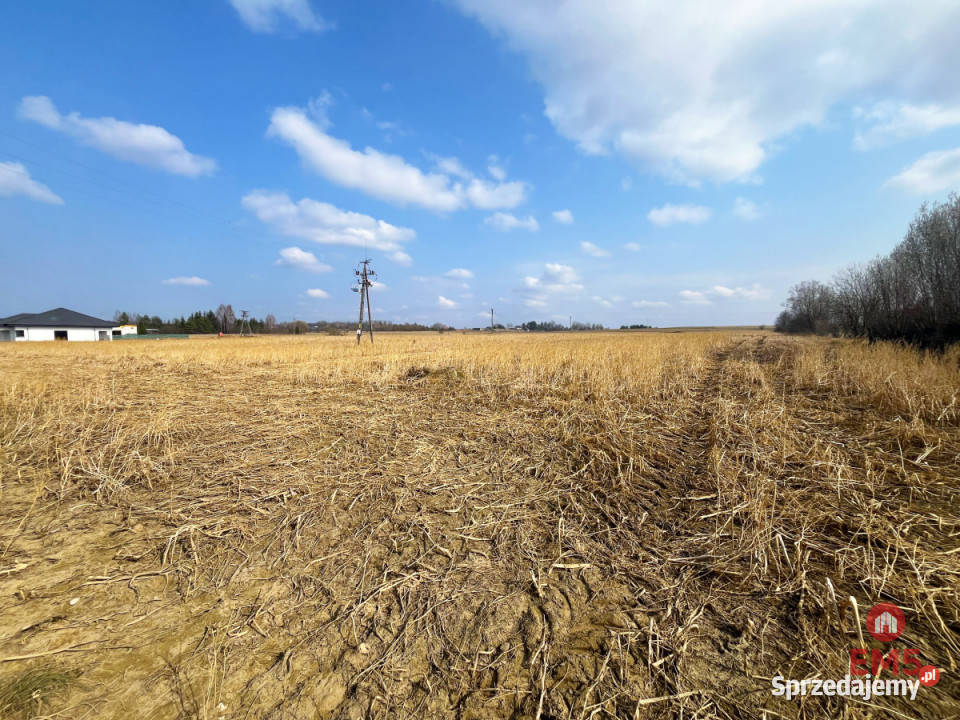 Działkę sprzedam 10000m2 Nowe Aleksandrowo