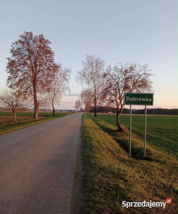 Dąbrówka gm Czerwonka działka budowlana 1100m Czerwonka Szlachecka sprzedam