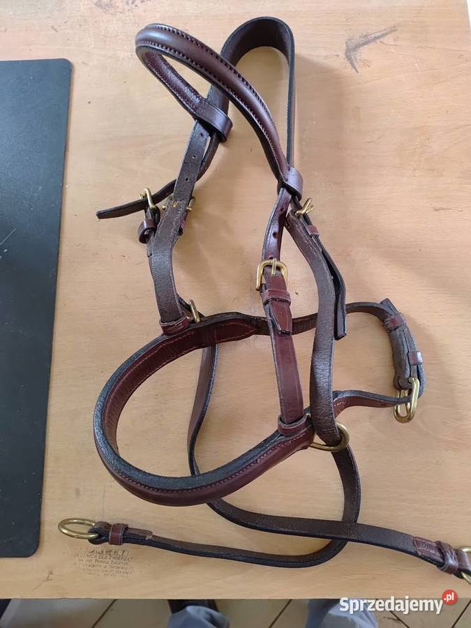 OGŁOWIE BEZWĘDZIDŁOWE Kazanów