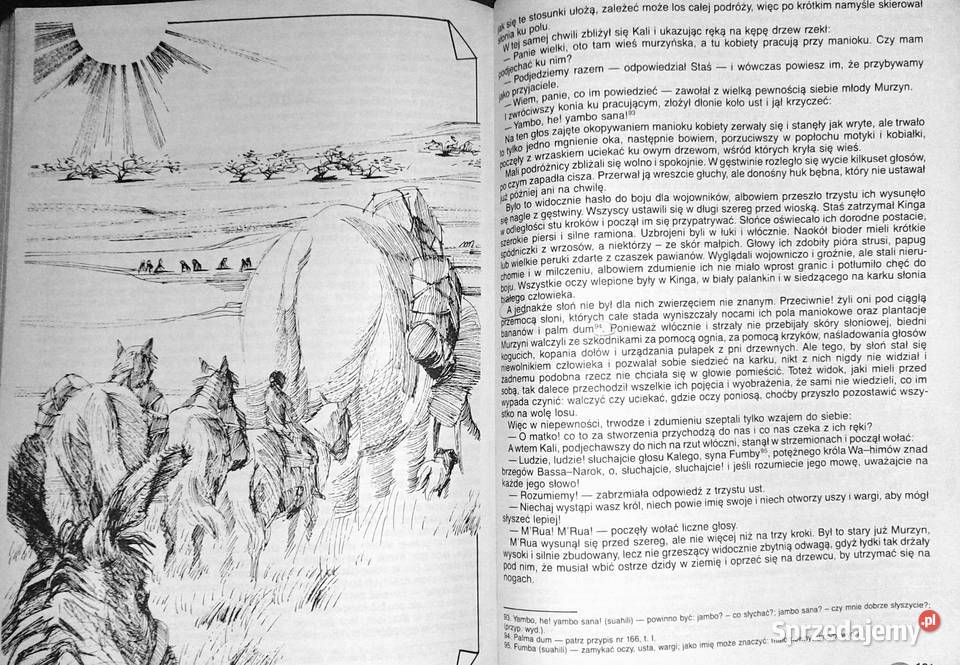 W pustyni i w puszczy Henryk Sienkiewicz miękka Chełm