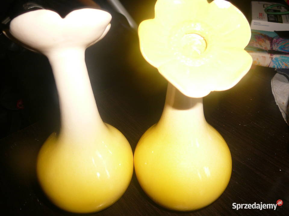 2 wazoniki ceramiczne kwiatki Wrocław