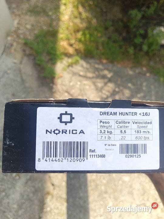Norica dream Hunter Czerwionka-Leszczyny
