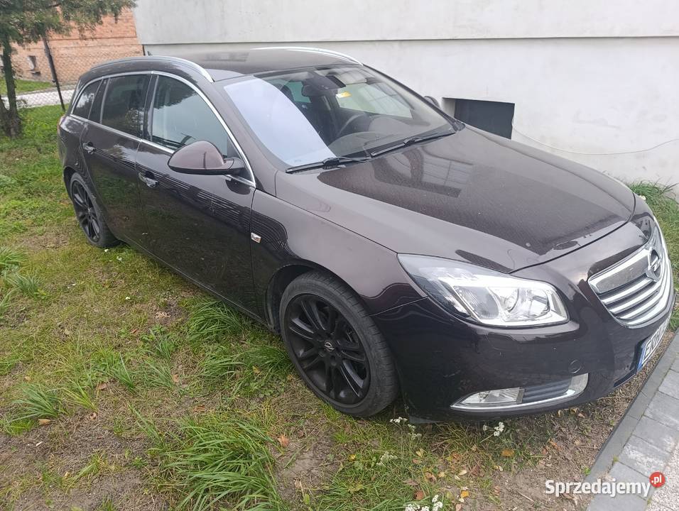 Opel Insigia z Niemiec Biksenon AluFelgi SERWIS Motoryzacja