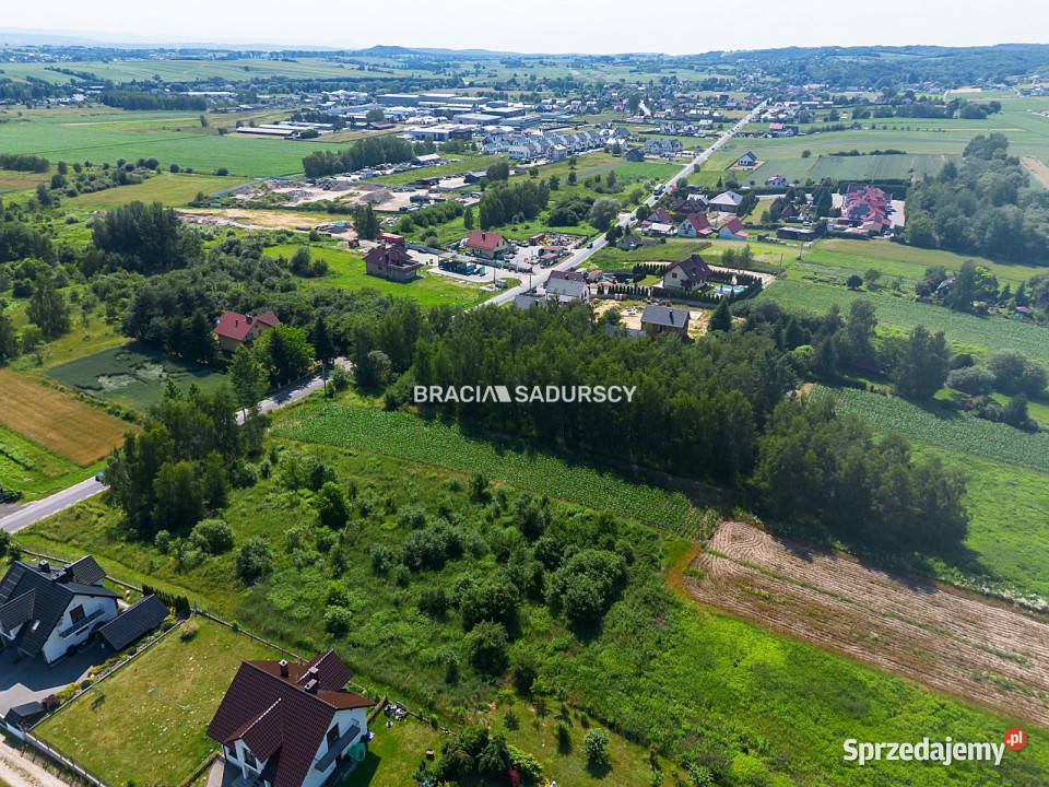 Działka 8300 metrów Cholerzyn kanalizacja