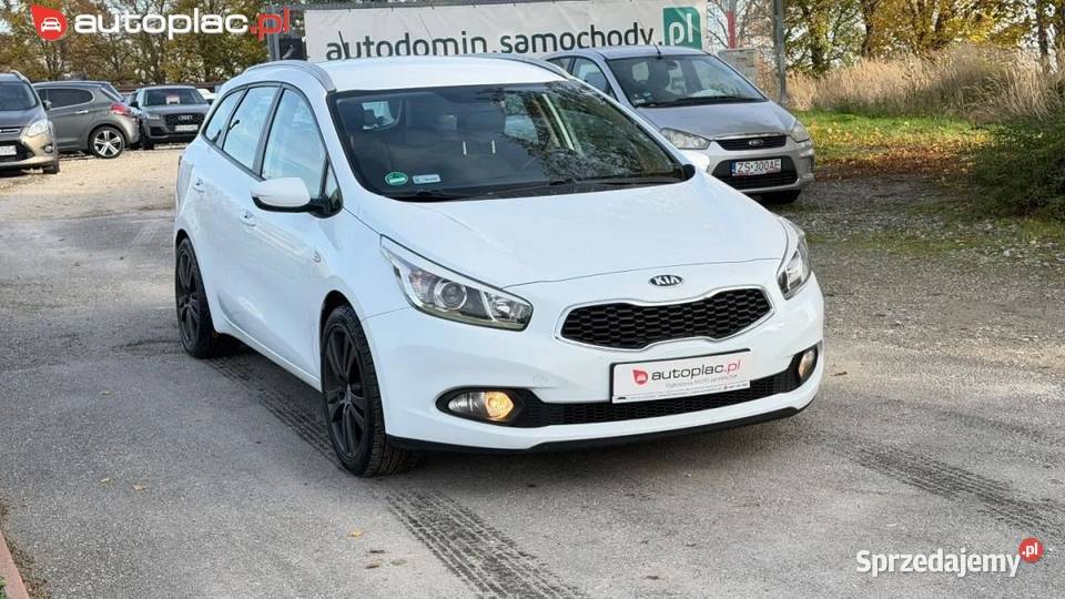 Kia Ceed Raty 14 benz Nowy rozrzad Nowe opony