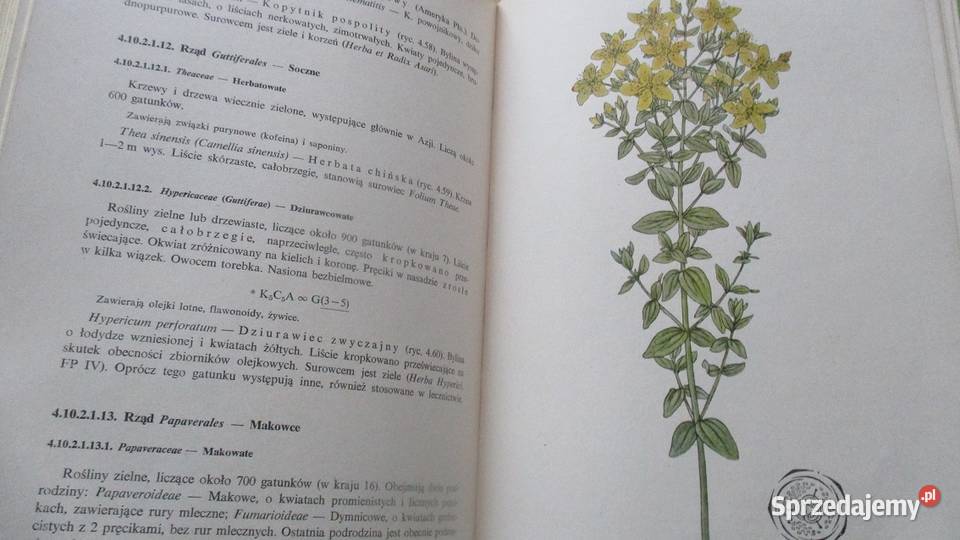 Zarys botaniki farmaceutycznej Broda botanika Łódź