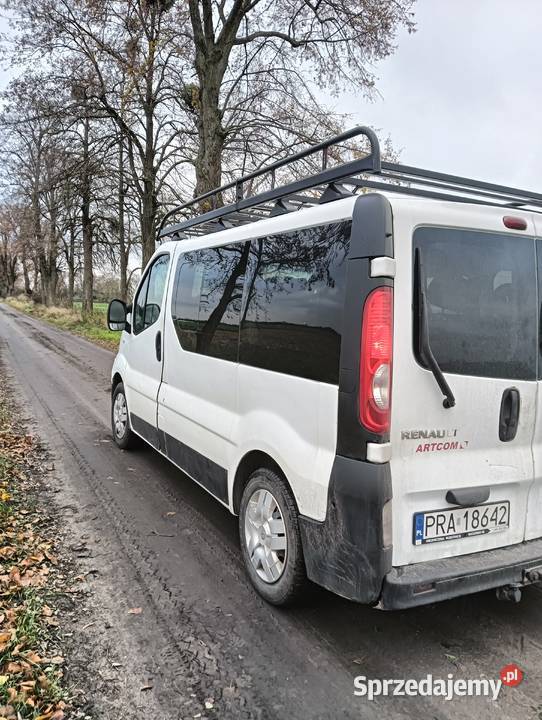 Sprzedam Renault Trafic 20 dizel 9 osobowy 2007 Trafic wielkopolskie Pobiedziska