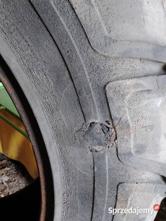 Opona pirelli 16938 Dąbrowica