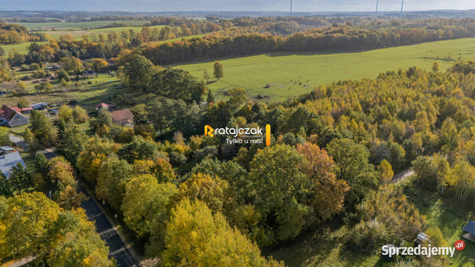 Grunt Ciekocino Dębowa 6066m2 6066m2