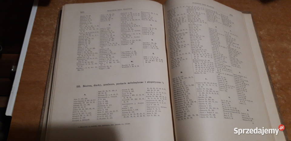 Zarys Dziejów Malarstwa13 Narkiewicz Antykwariat Iwno