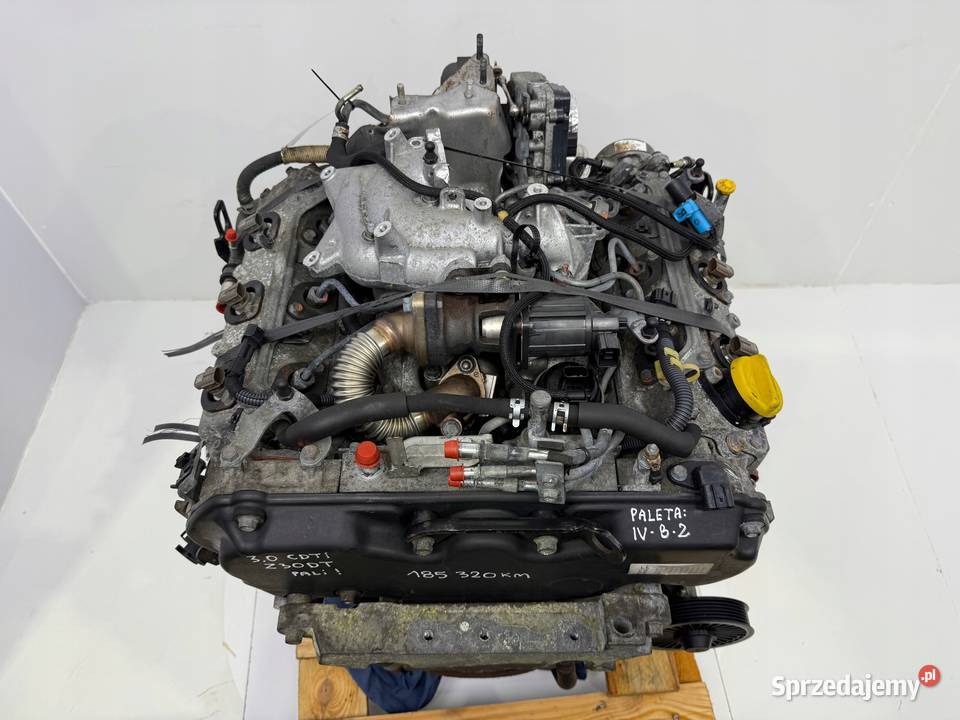 SILNIK Z30DT Opel Signum Vectra C 30 CDTI V6 184 osobowe