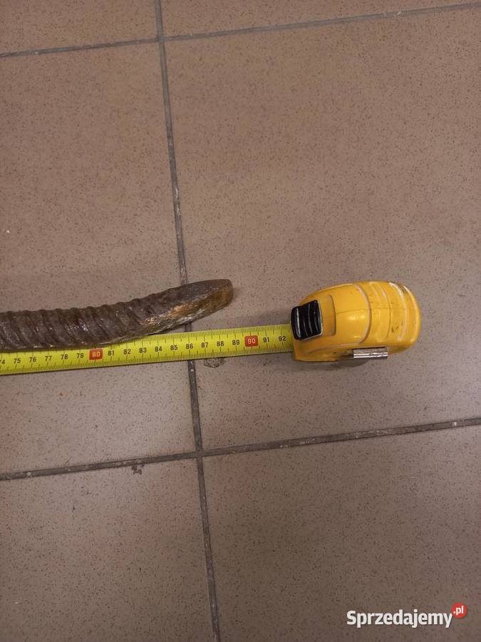 Brecha łom łódzkie