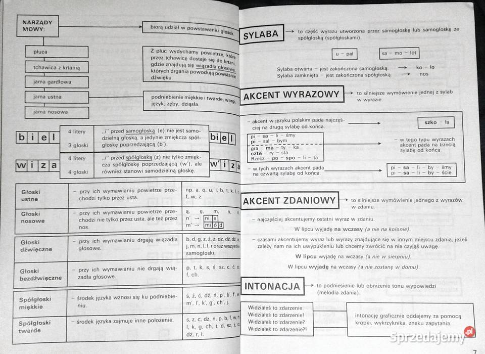 Gramatyka na Wydanie 1996 r Chełm