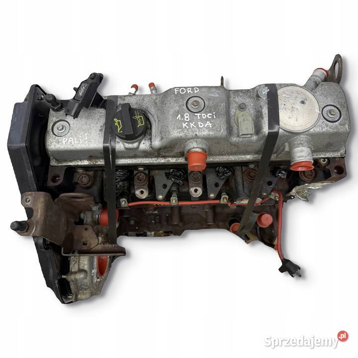 SILNIK KKDA Ford C C Focus II MK2 18 TDCI 115 osobowe lubelskie Chełm