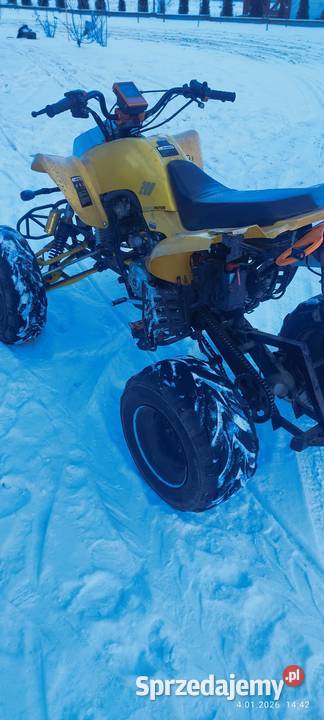 Bashan 200 zarejestrowany pomorskie Szlachta