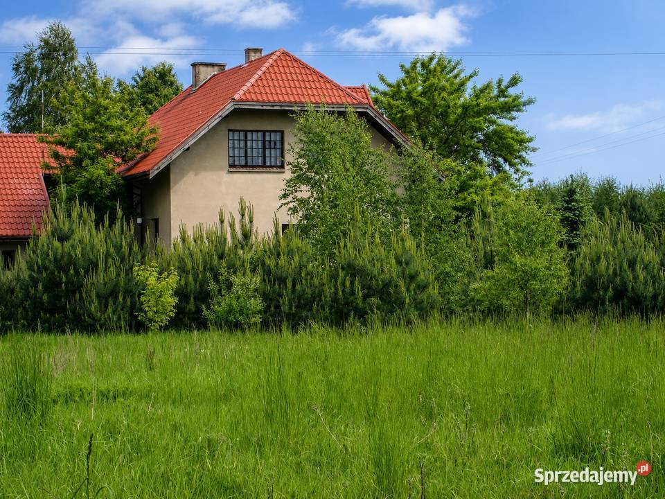 650 000 12992 ha PnB na 36 lokali Łask 39m Wiewiórczyn