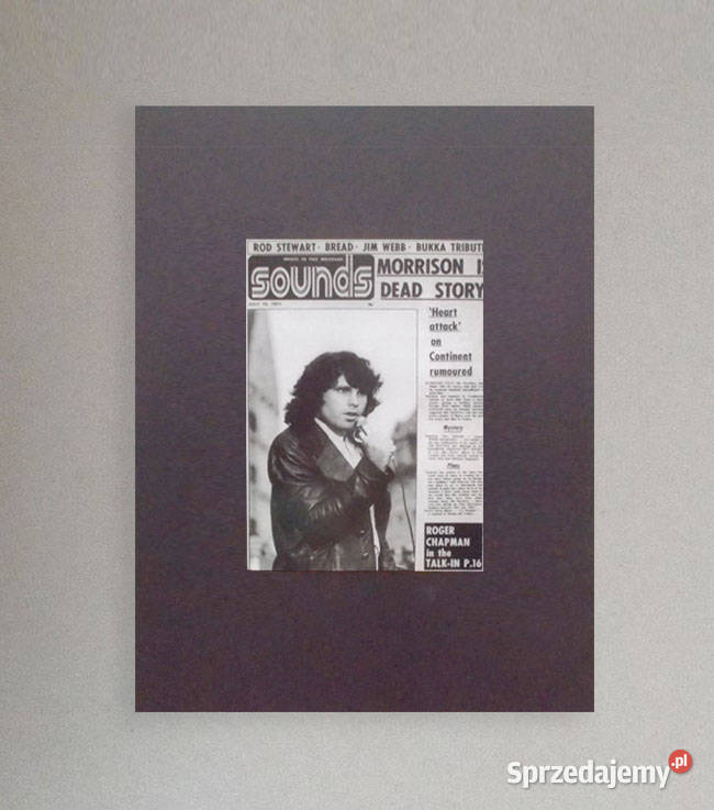 the doors plakat A4 Jim Morrisona plakat plakat Opole