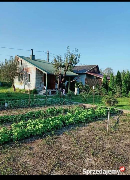 Działka rekreacyjna RADZIKÓW RODOS Staszów