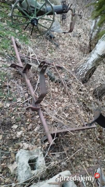 Sprzedam deski orzech włoski Dulcza Mała