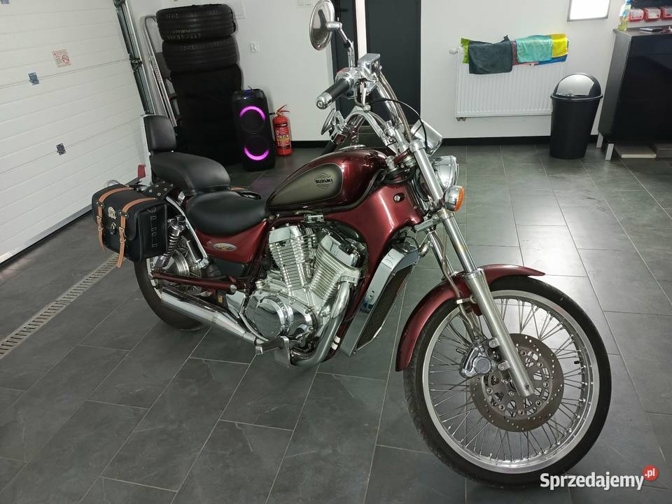 Suzuki Intruder 800 Cielęta