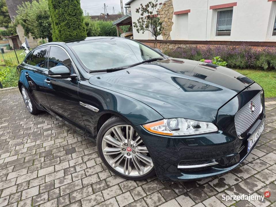 Jaguar XJ 3000cm3 Dzikowiec