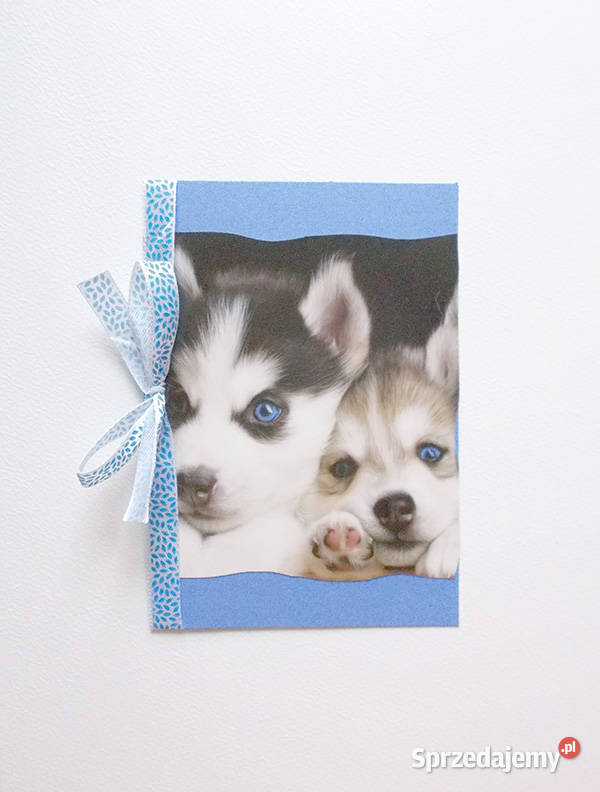pies kartka husky kartka psy kartki zwierzęta Pozostałe warmińsko-mazurskie Olsztyn sprzedam
