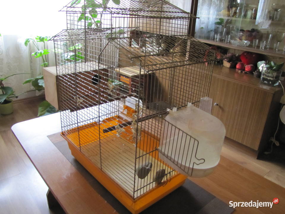 Klatka ptaków Toruń