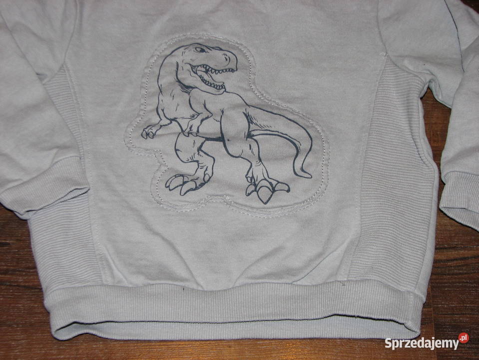 Little Kids bluza dinozaur 98 104 Bluzy dolnośląskie Wrocław sprzedam