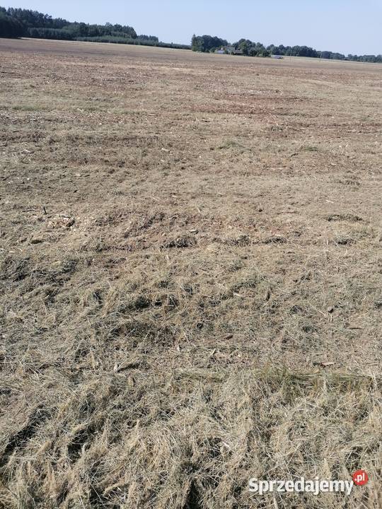 Mulczer leśny mulczowanie karczowanie Olesno