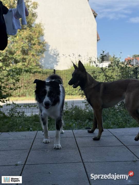 2pok 36met Kosmonautów TARASOGRÓD Wrocław