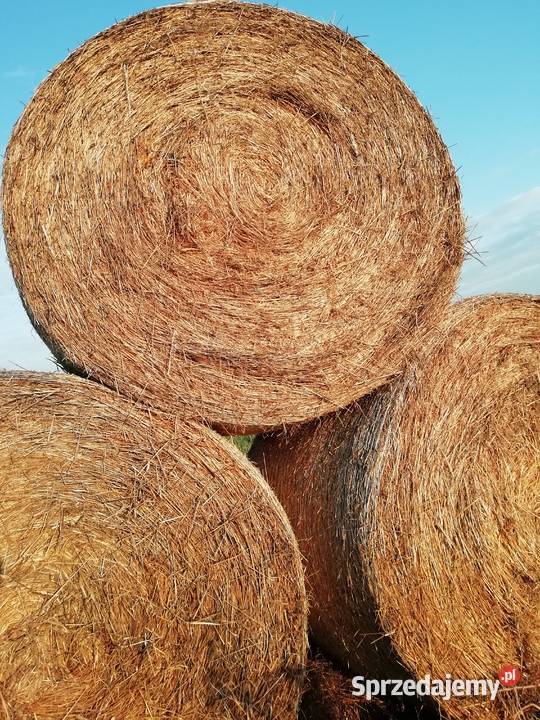 Sprzedam słomę i siano Tuczna