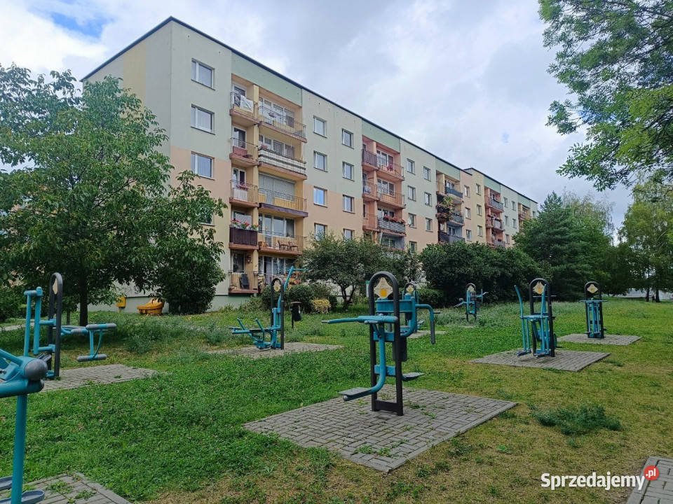 Mieszkanie 5811m2 3pokojowe Kielce Sprzedaż