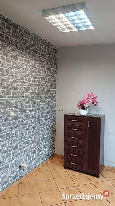 Wynajmę lokal użytkowy 45 m2 w PATERKU