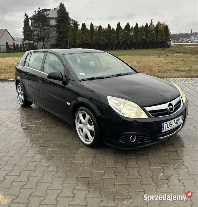 Opel Signum 19 diesel 2005r Pilzno sprzedam