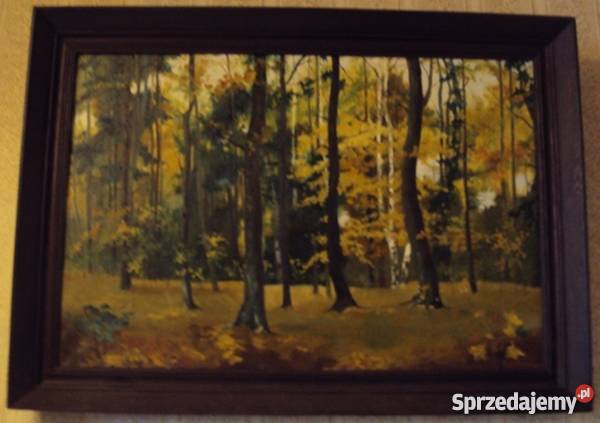 Śliczny obraz LAS Warszawa sprzedam