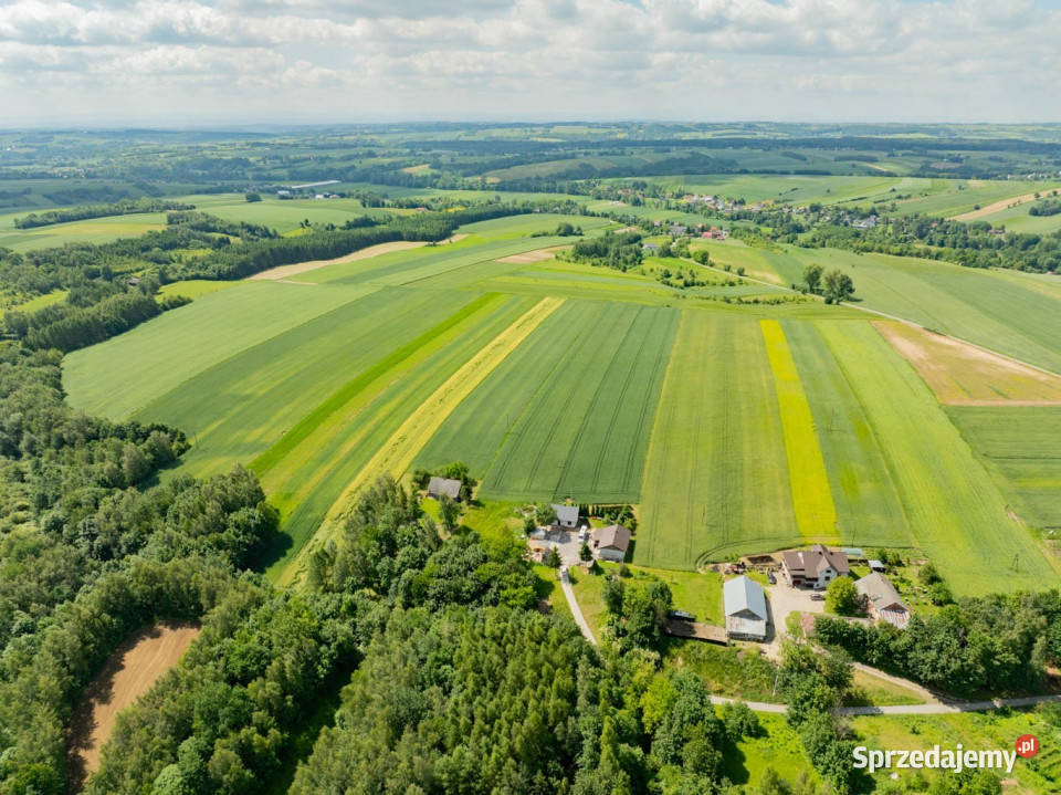 Sielska nieruchomość w otoczeniu natury 220 HA Grzegorzowice Wielkie