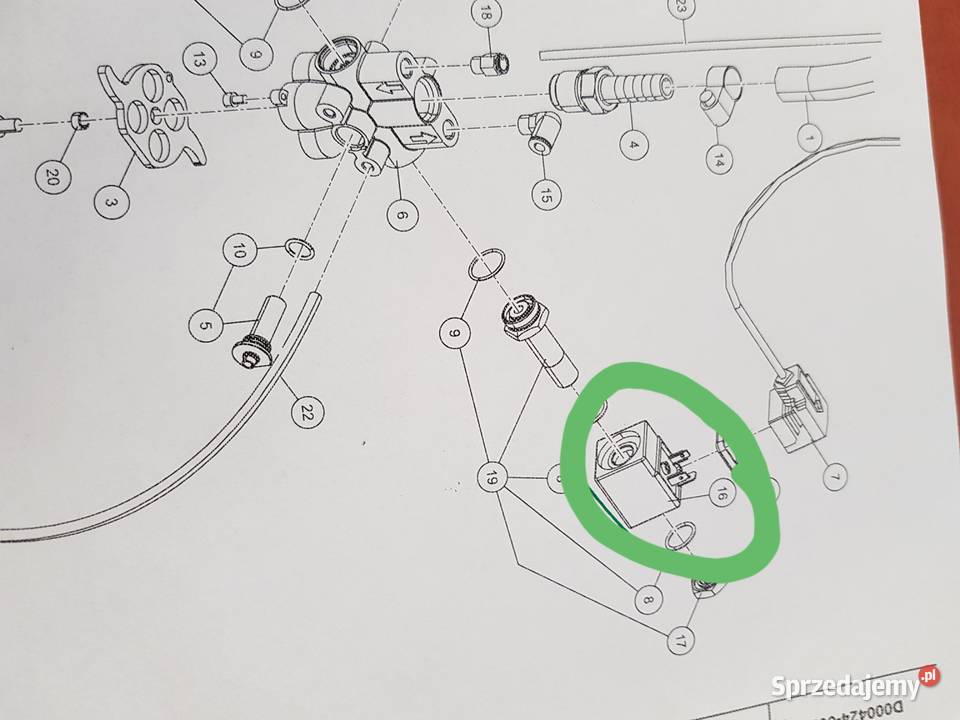 9113808100 Cewka Lely Pura Sulechów sprzedam