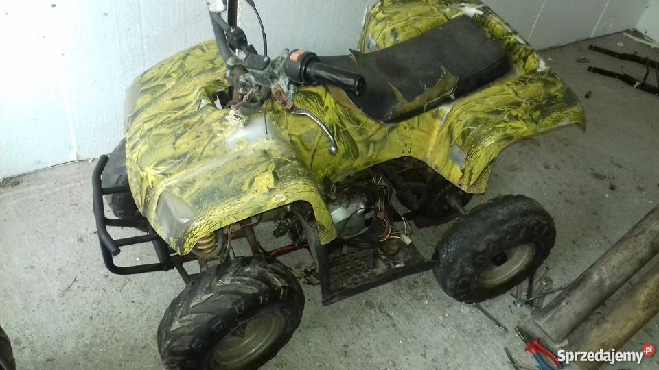 Quad 110 zipp bashan