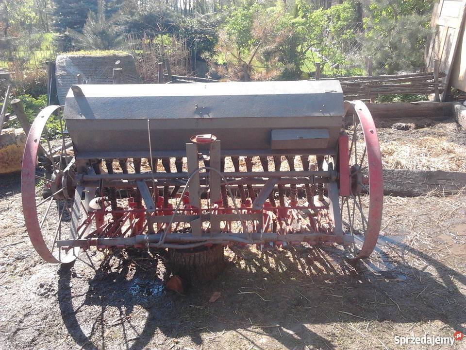 Siewnik konny śląskie Chybie
