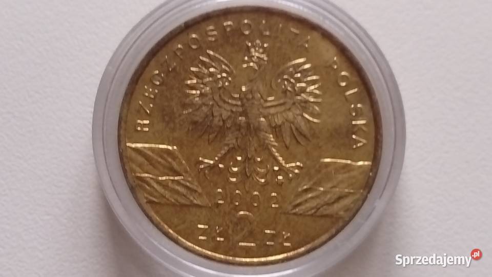 Moneta 2 2002 r Żółw błotnySeria Zwierzęta