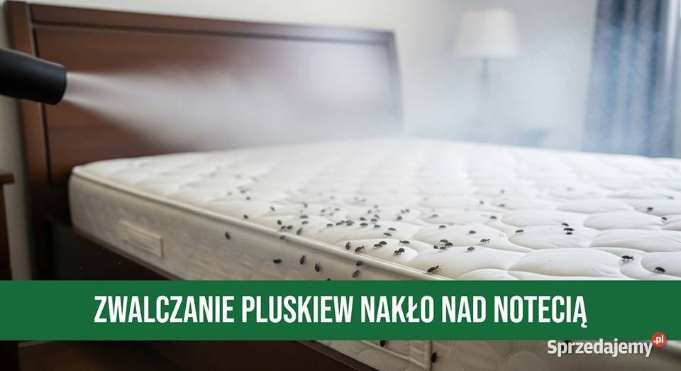 Zwalczanie Pluskiew Nakło Notecią Dezynsekcja Dezynfekcja i sterylizacja kujawsko-pomorskie Nakło nad Notecią