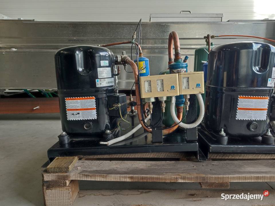 Sprężarka chłodnicza Lunite TAG 4561C 10kW Niedźwiedź