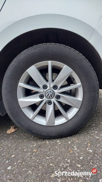 GOLF SPORTSVAN BEZWYPADKOWY SALON POLSKA podkarpackie